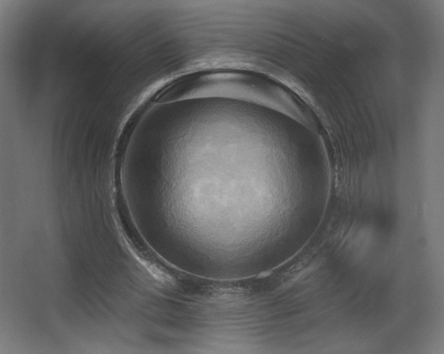 X0000068320438200604211209