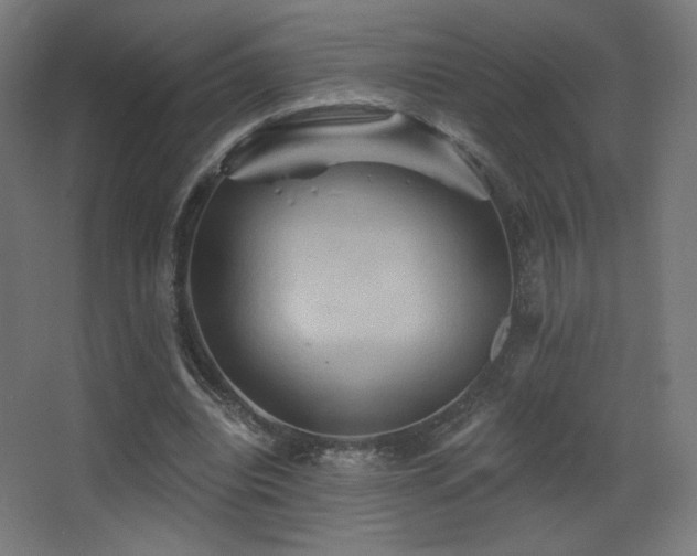 X0000068320440200604211209