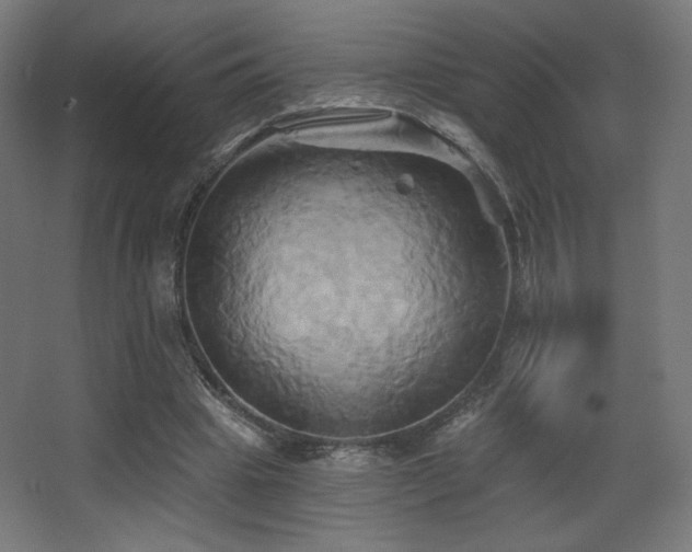 X0000068320441200604211209