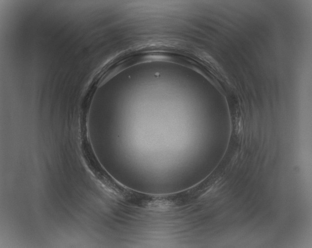 X0000068320444200604211209
