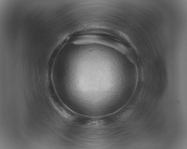 X0000068320447200604211209