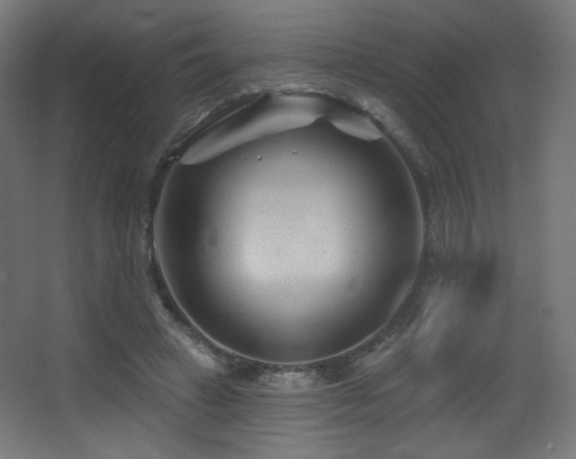 X0000068320449200604211209