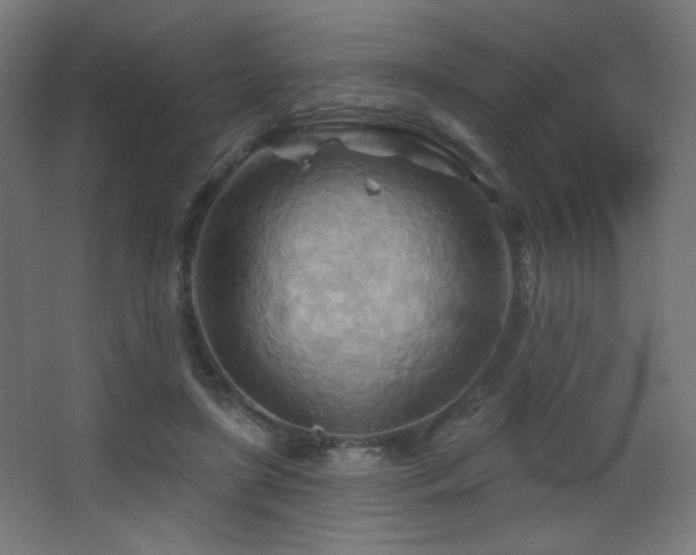 X0000068320451200604211209