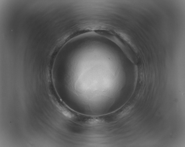 X0000068320453200604211209