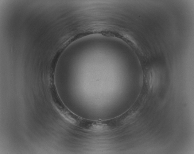 X0000068320455200604211210