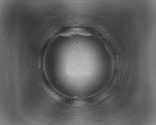 X0000068320458200604211210