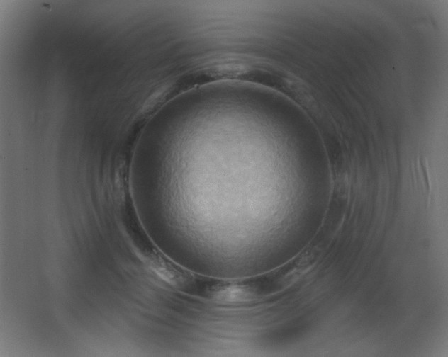 X0000068320460200604211210