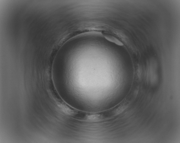 X0000068320461200604211210