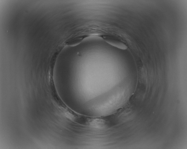 X0000068320463200604211210
