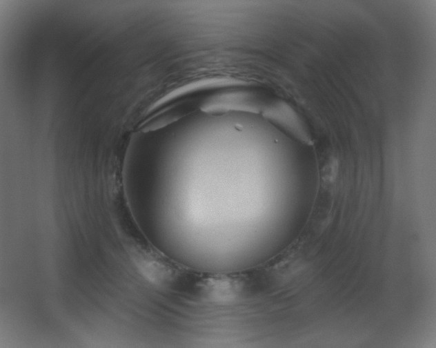 X0000068320464200604211210