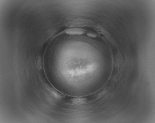 X0000068320465200604211210