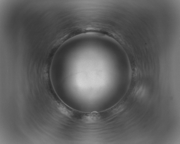 X0000068320466200604211210