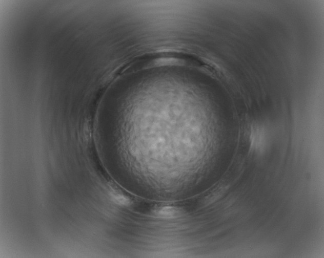 X0000068320467200604211210