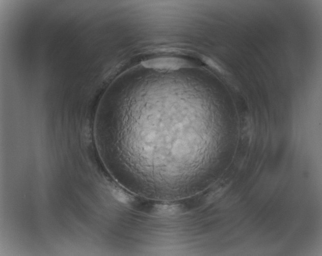 X0000068320469200604211210