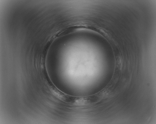 X0000068320470200604211210