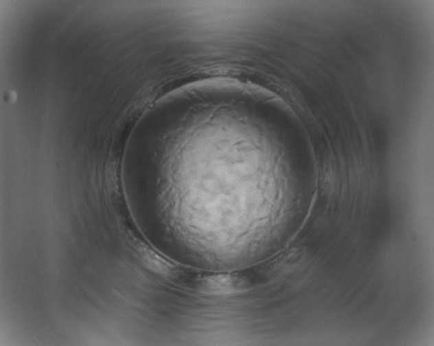 X0000068320473200604211210