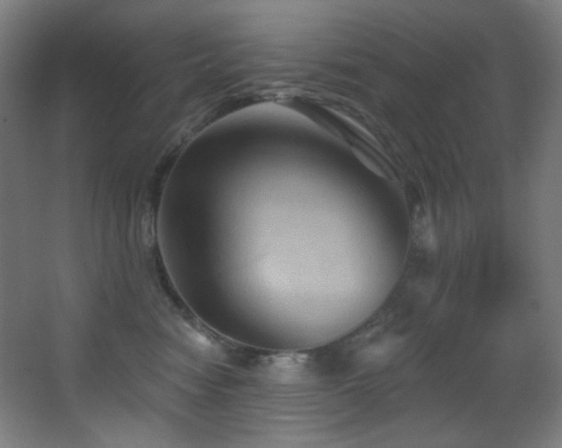 X0000068320474200604211210