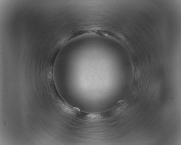 X0000068320477200604211210