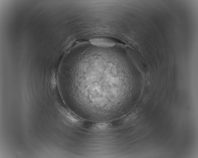 X0000068320479200604211210