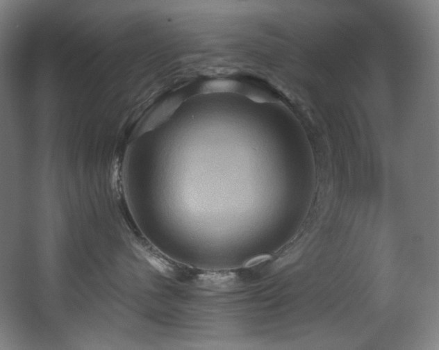 X0000068320480200604211210