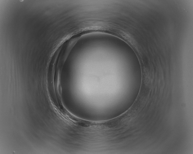 X0000068320482200604211209