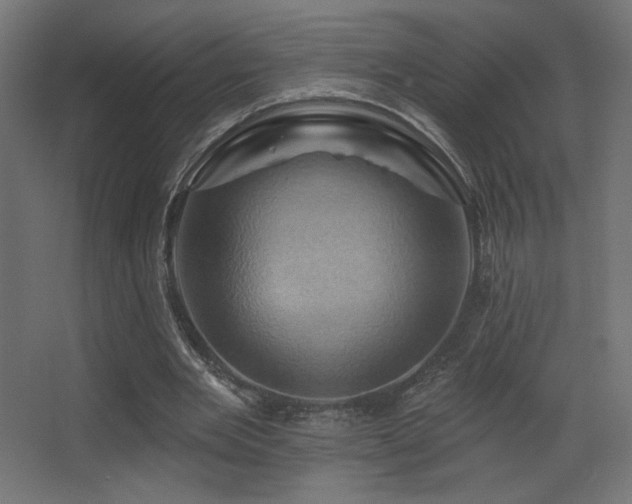 X0000068320485200604211209