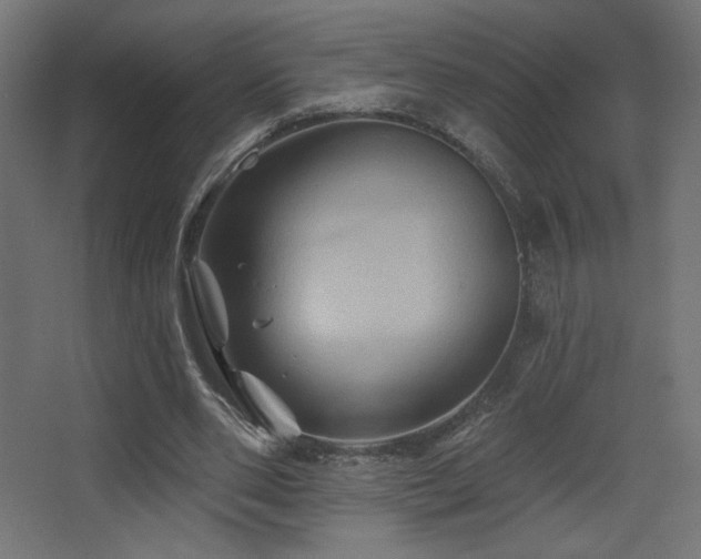 X0000068320486200604211209