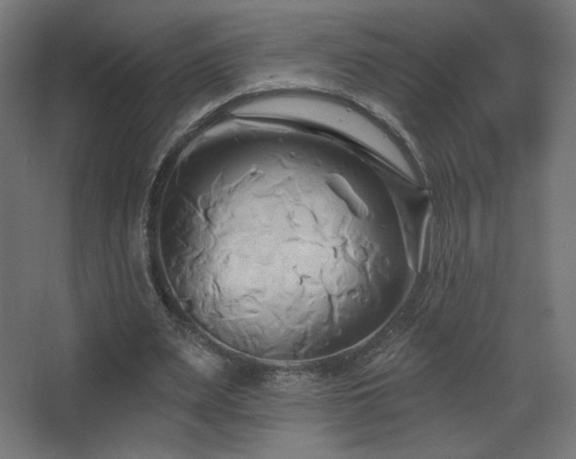 X0000068320487200604211209