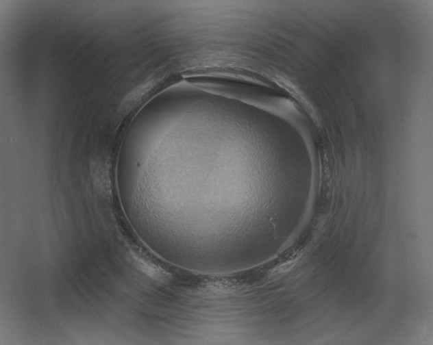 X0000068320489200604211209
