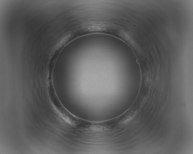X0000068320490200604211209