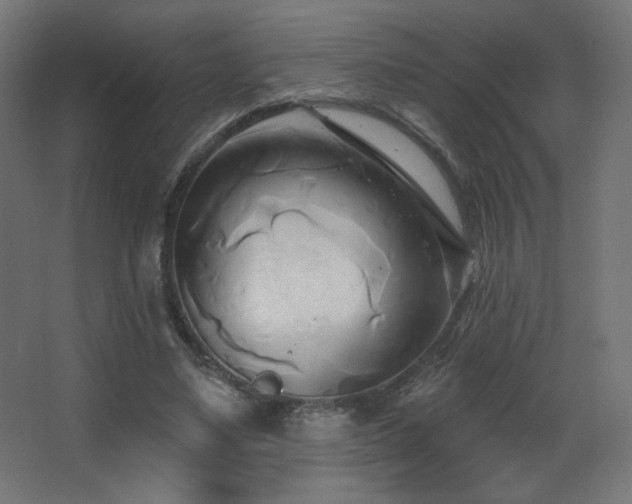 X0000068320491200604211209