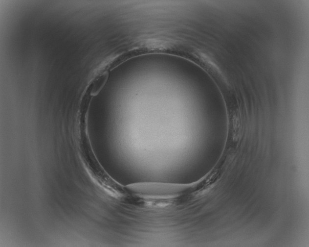 X0000068320492200604211209