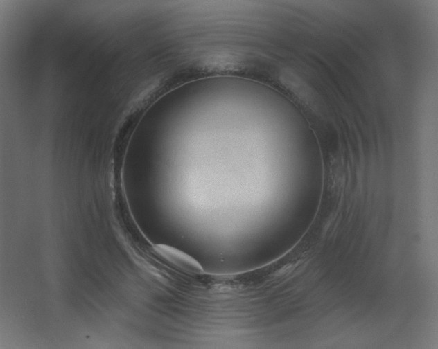 X0000068320494200604211209