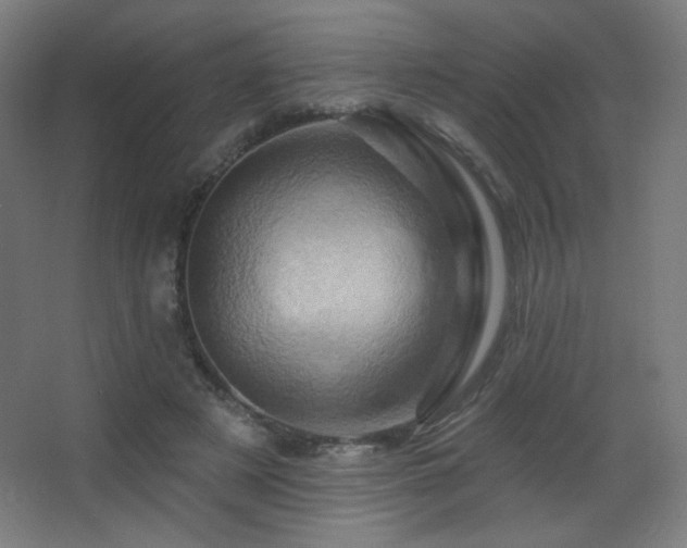 X0000068320497200604211209
