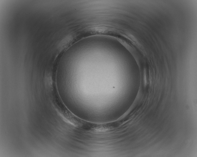 X0000068320500200604211209