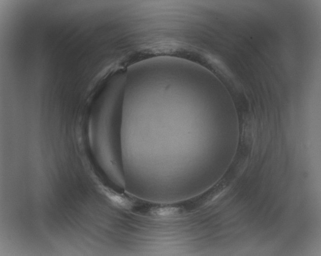 X0000068320501200604211209