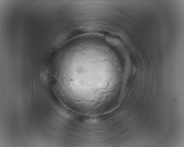 X0000068320503200604211209