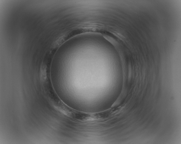 X0000068320504200604211209