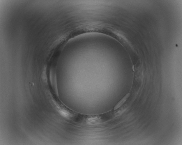 X0000068320505200604211209