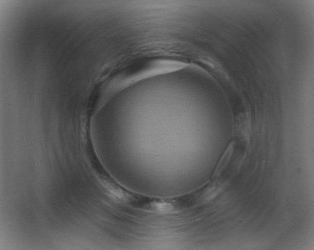 X0000068320509200604211209