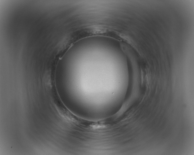 X0000068320512200604211209