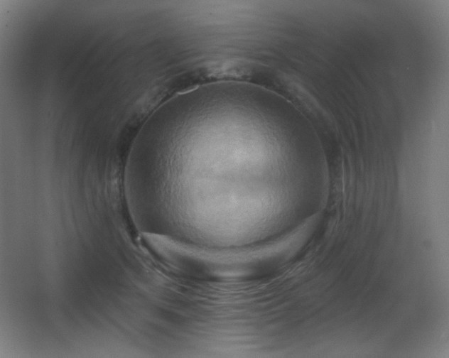 X0000068320513200604211209