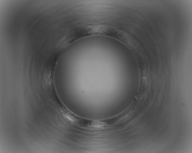 X0000068320514200604211209