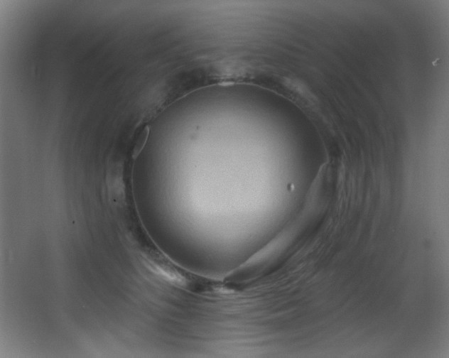 X0000068320516200604211209