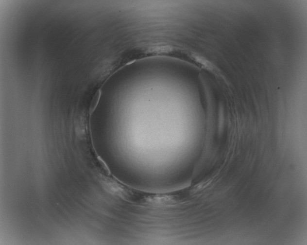 X0000068320517200604211209
