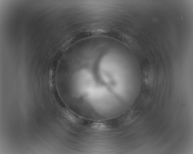 X0000068320519200604211208