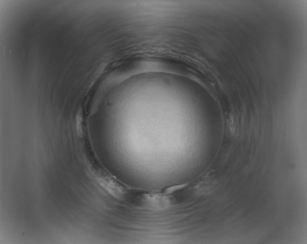 X0000068320520200604211208