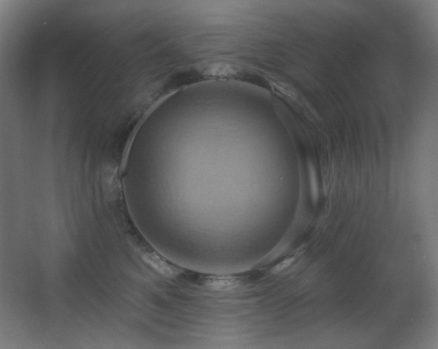 X0000068320521200604211208