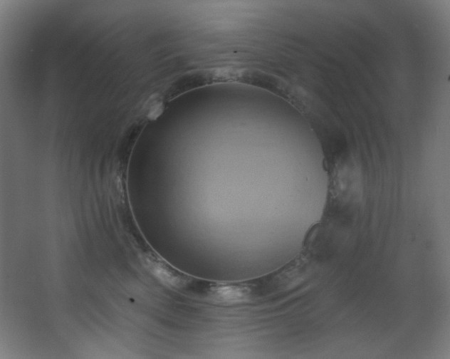 X0000068320522200604211208