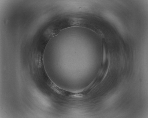 X0000068320525200604211208